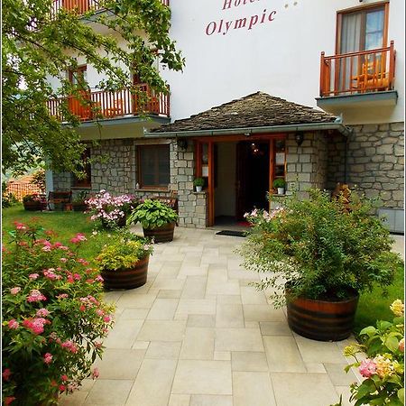 Hotel Olympic Metsovo Eksteriør billede