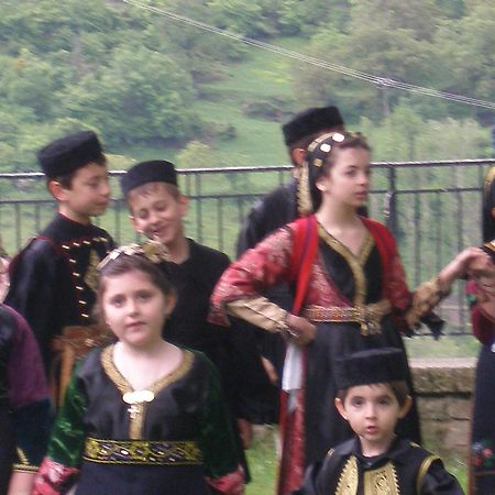 Hotel Olympic Metsovo Eksteriør billede