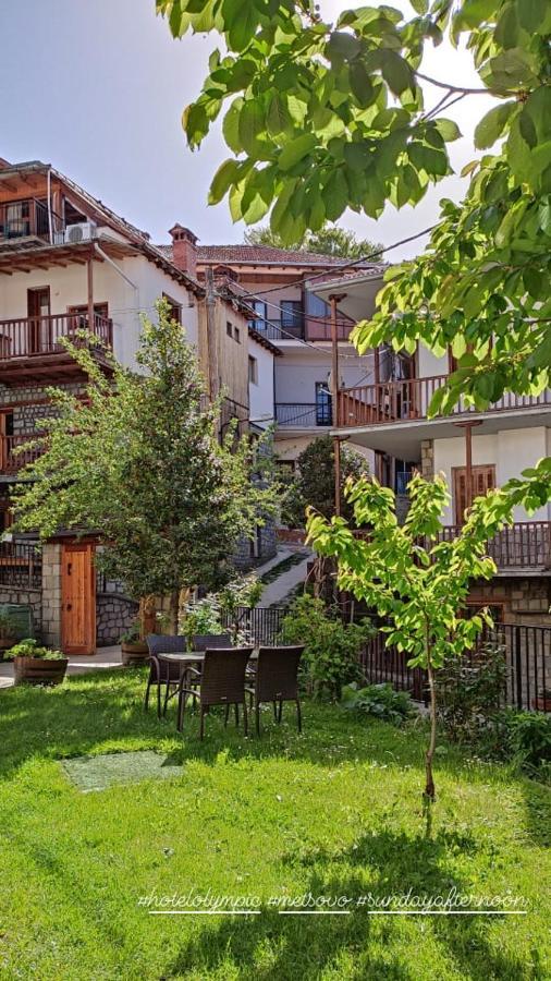 Hotel Olympic Metsovo Eksteriør billede
