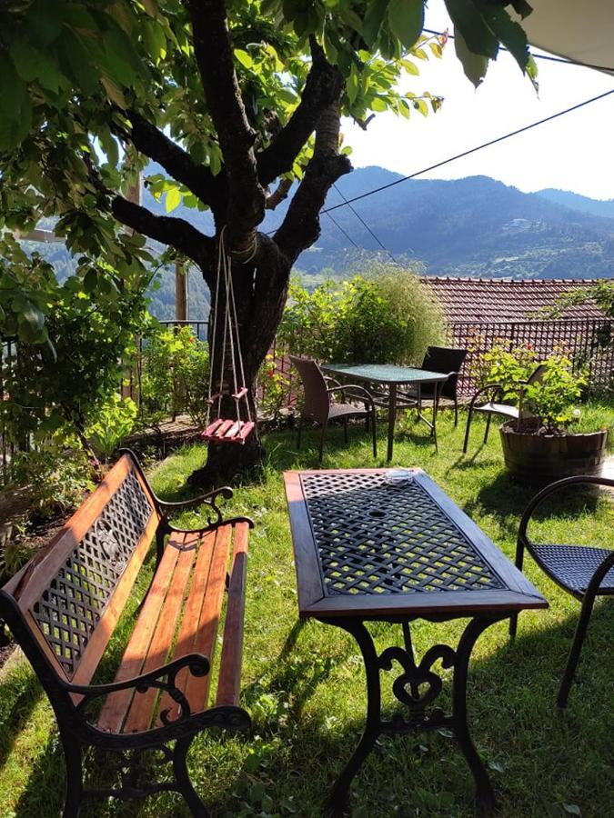 Hotel Olympic Metsovo Eksteriør billede