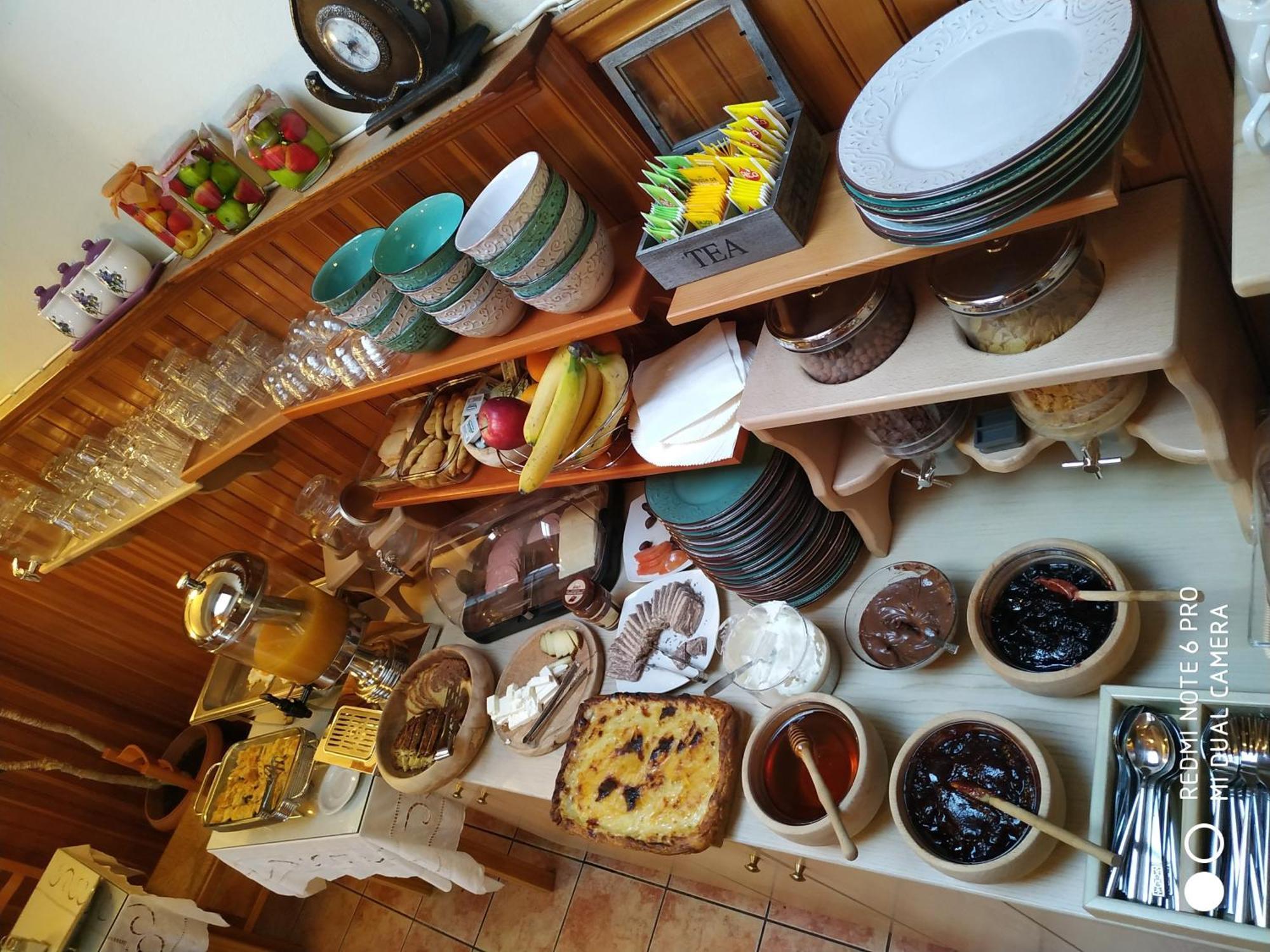 Hotel Olympic Metsovo Eksteriør billede