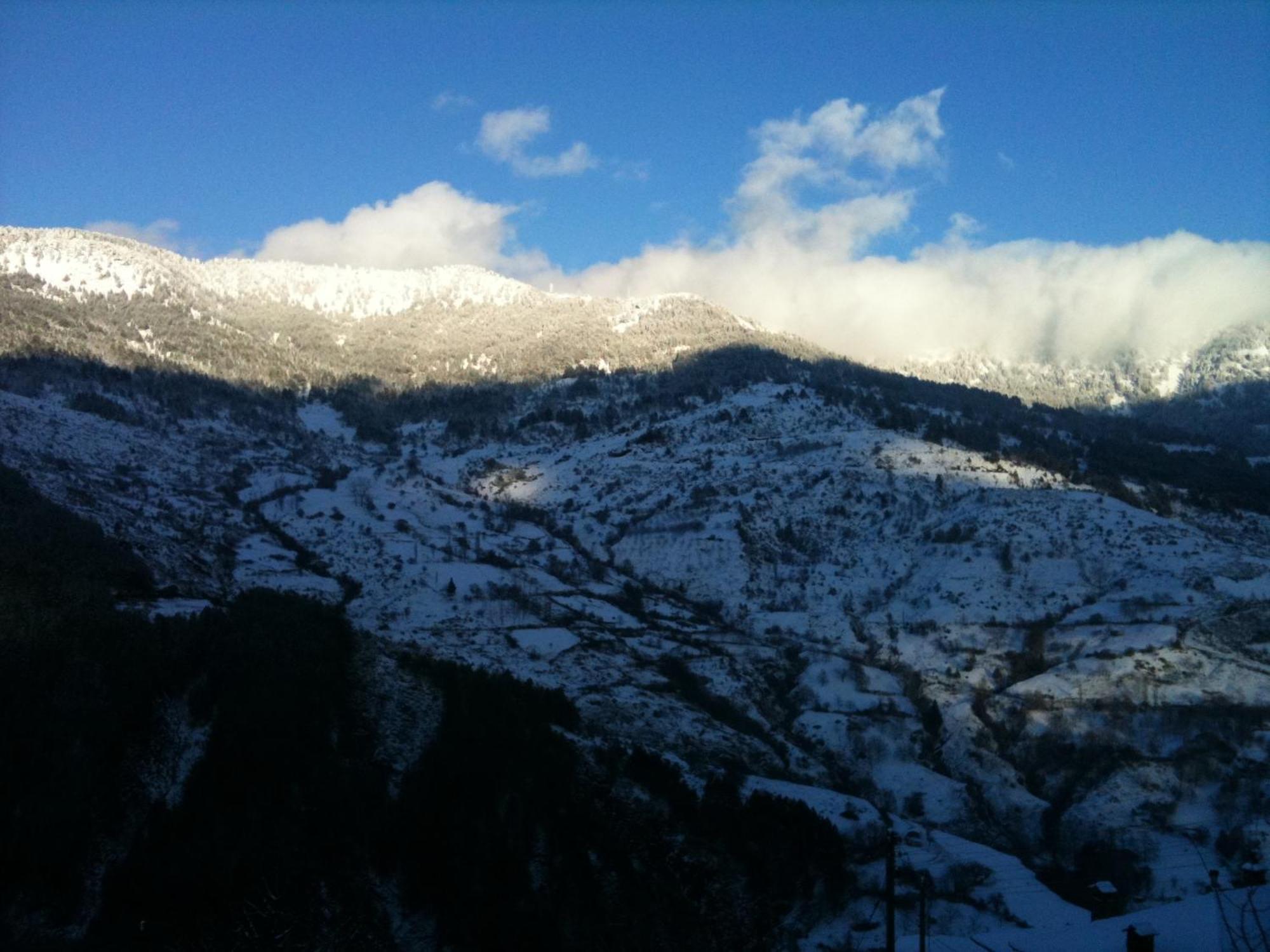 Hotel Olympic Metsovo Eksteriør billede