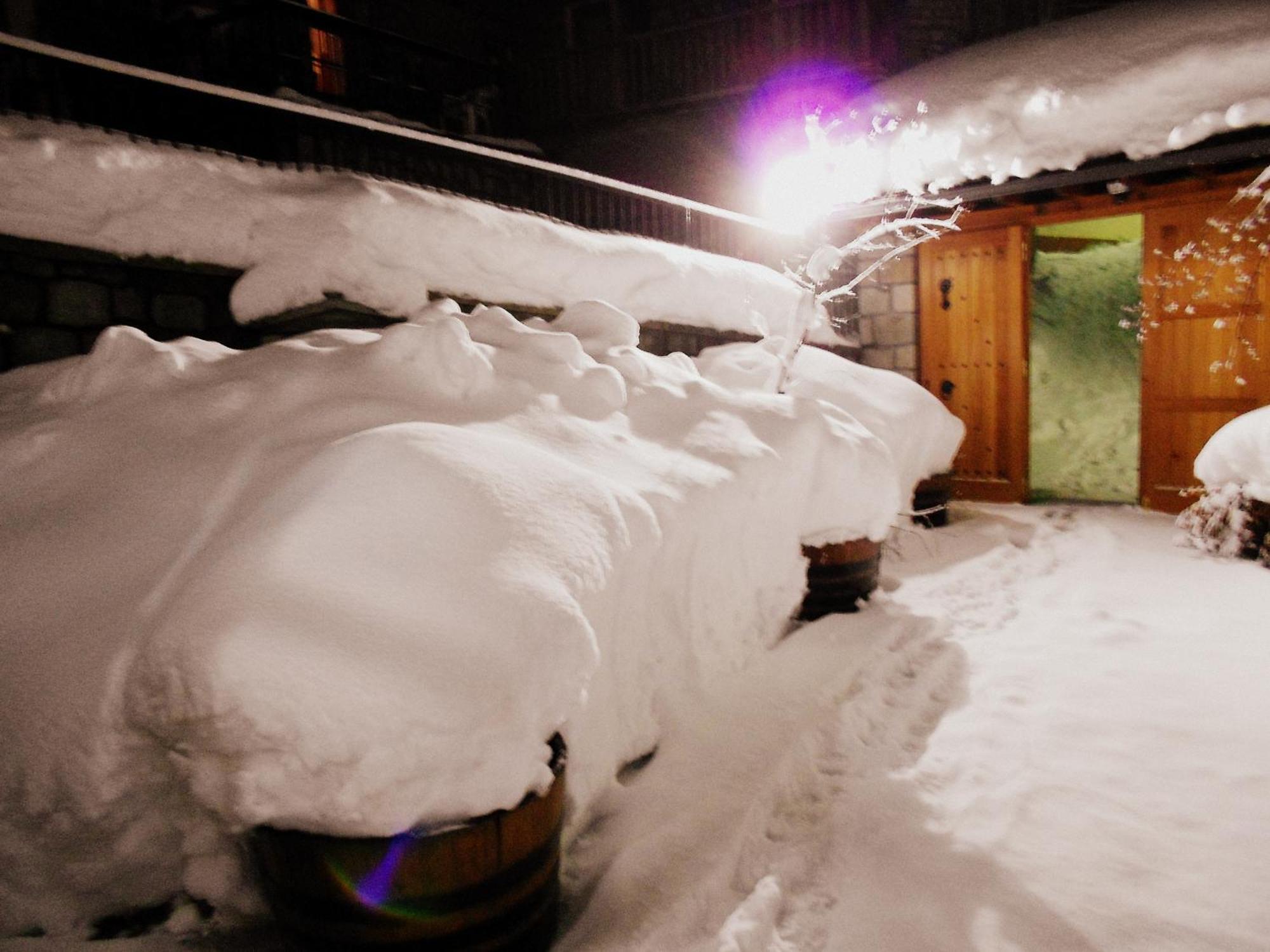 Hotel Olympic Metsovo Eksteriør billede