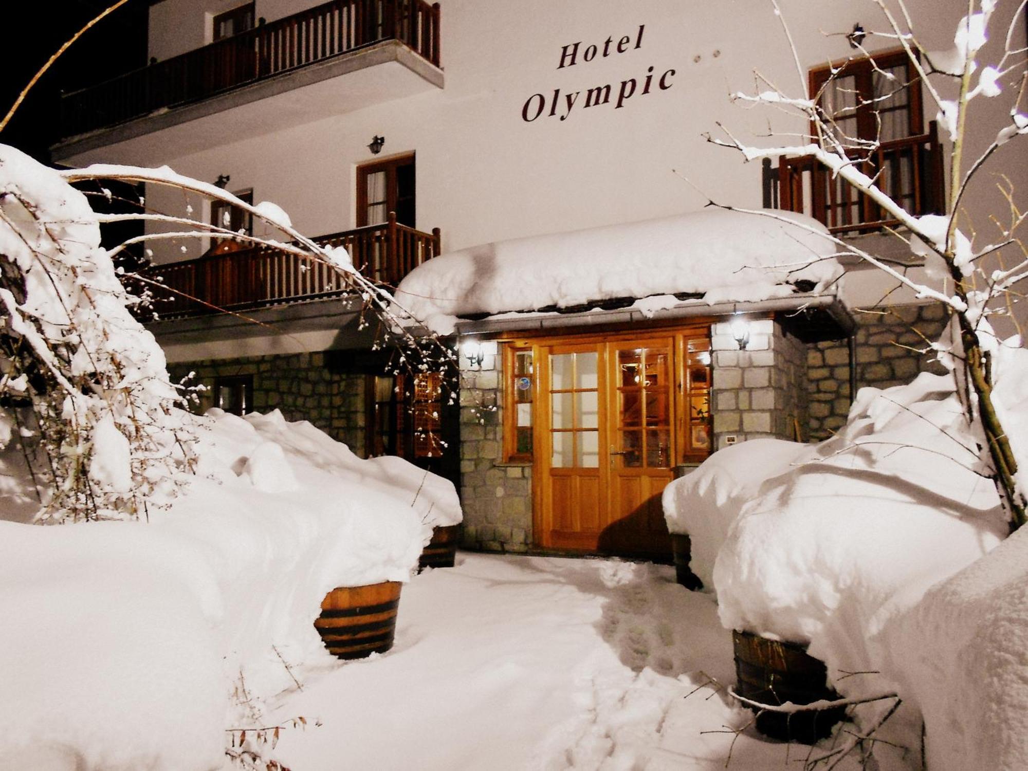 Hotel Olympic Metsovo Eksteriør billede