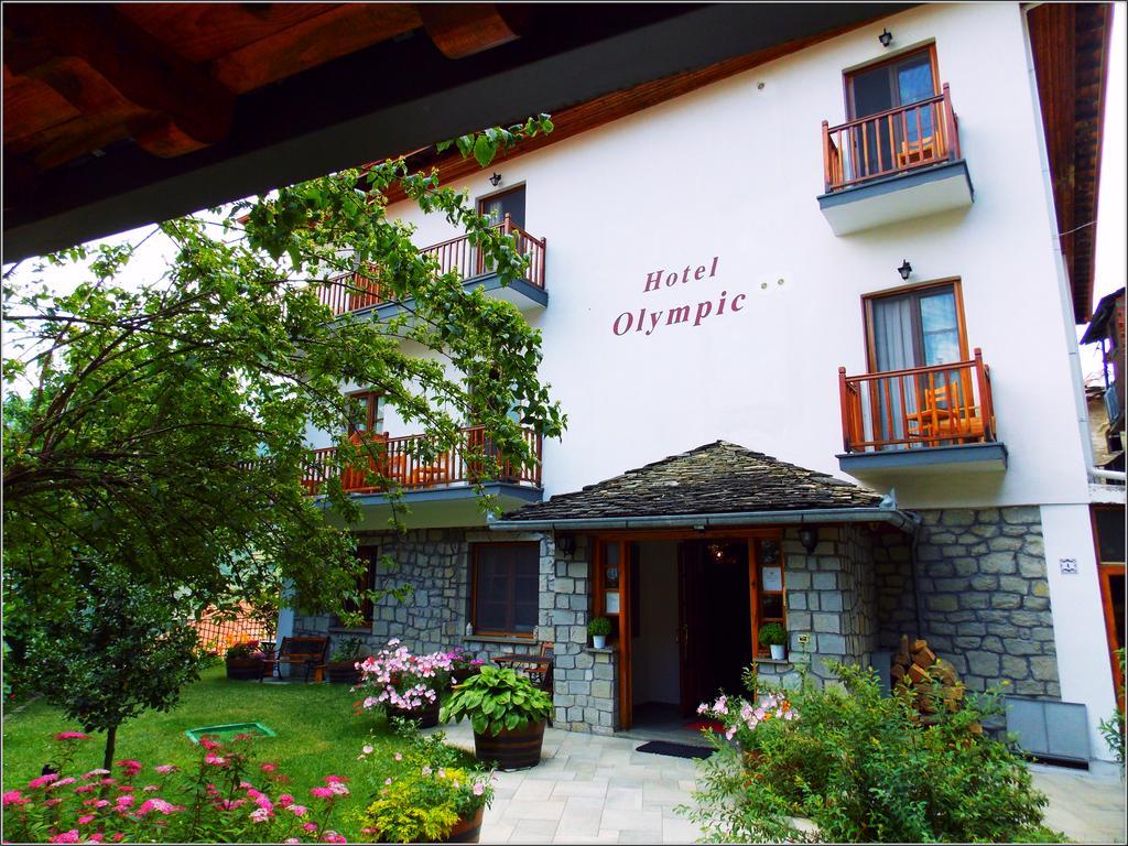Hotel Olympic Metsovo Eksteriør billede