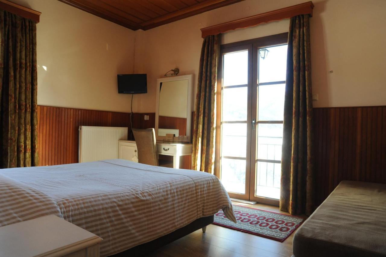Hotel Olympic Metsovo Eksteriør billede
