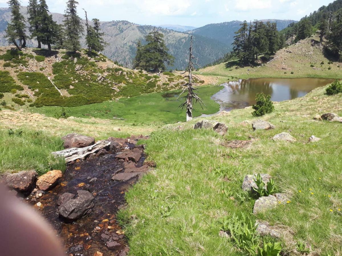 Hotel Olympic Metsovo Eksteriør billede