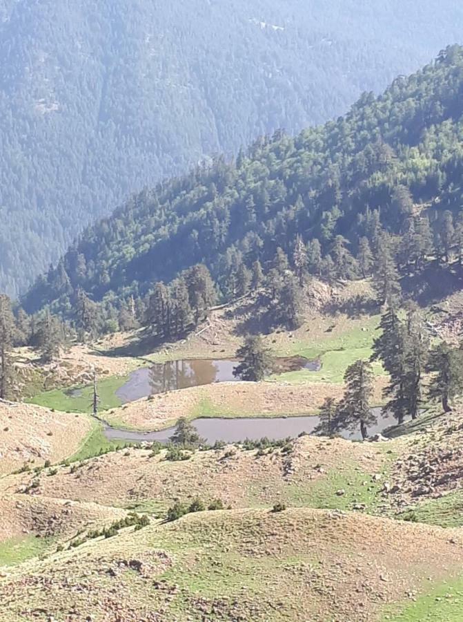 Hotel Olympic Metsovo Eksteriør billede