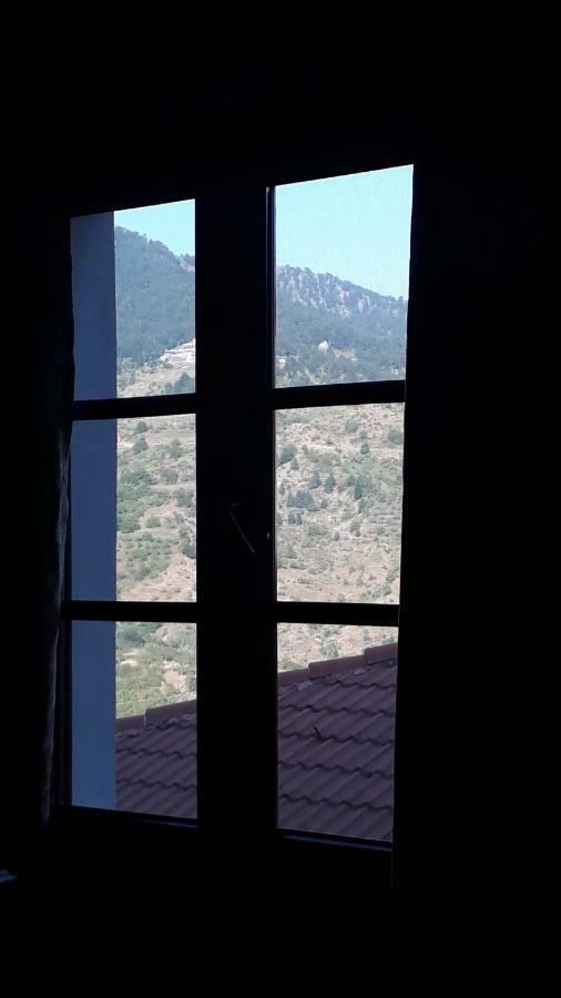 Hotel Olympic Metsovo Eksteriør billede